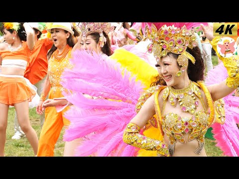 【4K】ゆめねつGW 2024   #2 Samba in Japan　2024