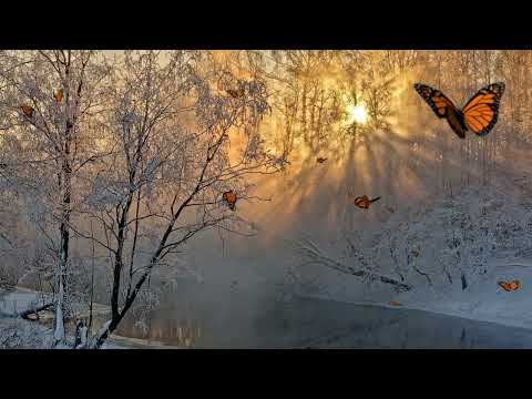 "Бабочки в Декабре"🦋Невероятно Красивая Музыка* Слёзы счастья и мурашки🦋Saxophone music