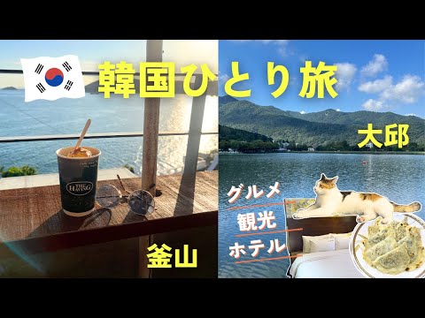 釜山＆大邱🇰🇷ひとり旅vlog