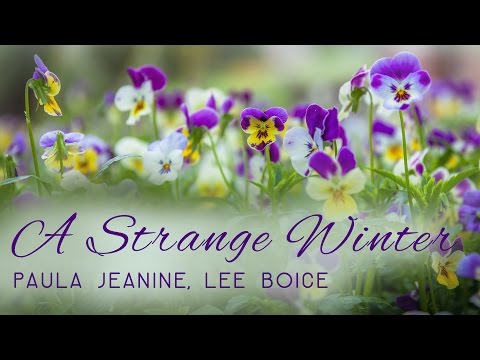 Fusion Music | Paula Jeanine & Lee Boice | A Strange Winter