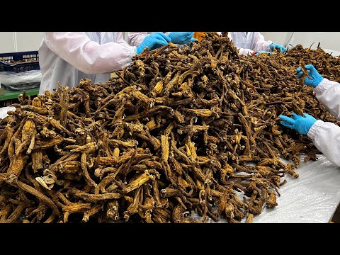 The best health food in Korea! The process of making red ginseng drink / Korean food factory