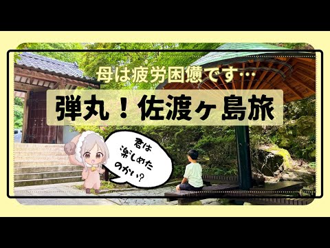 【島旅】佐渡ヶ島に行ってきた！やっぱり旅はのんびりが良いなと実感した。500円玉貯金の行方。