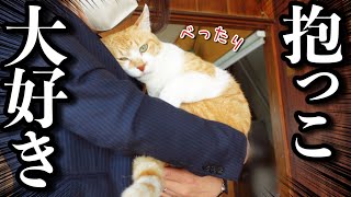 抱っこ嫌いだった元野良猫がベッタリ甘えん坊になったワケ｜推し猫グランプリ