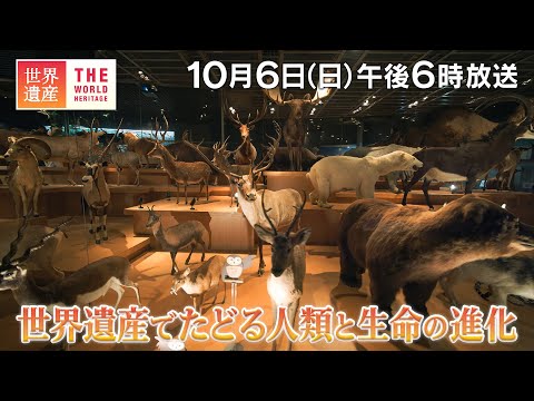 【TBS世界遺産】世界遺産でたどる人類と生命の進化【10月6日午後6時放送】