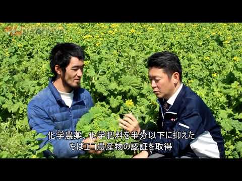 ナリタヤやさい 千葉県南房総市・田村臣希さんの菜花