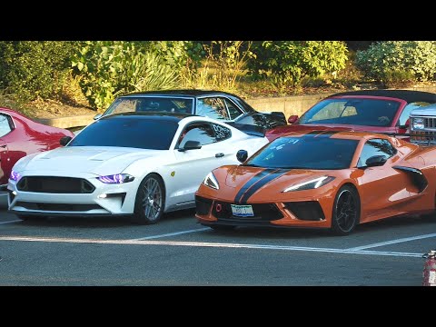 C8 Corvette vs Mustang - drag race