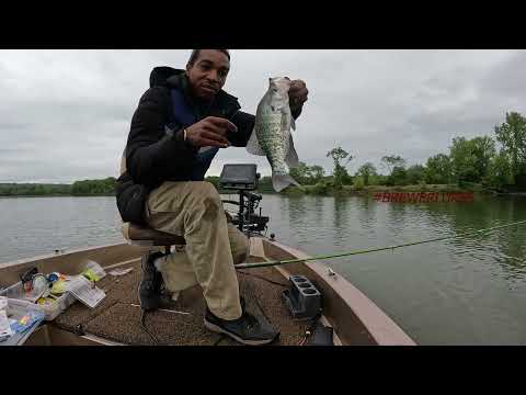 Lake Dardanelle April 2023 Huuge Male crappie