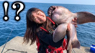 神堤防でイカの切り身を投げたら釣りガールの夢が叶った【伊豆大島♯５】