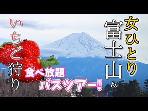 day trip bus tour in Japan, Yamanashi #Mt.Fuji #strawberry