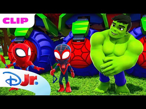 Marvel's Spidey and his Amazing Friends | Hulk Becomes a Squirrel | @disneyjr