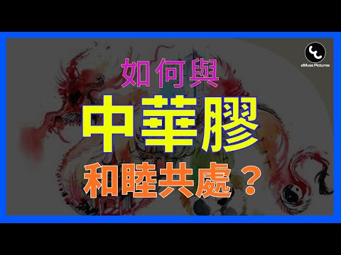 與膠民共存還是堅決清零？如何與不講道理只講立場的中華膠和睦共處？