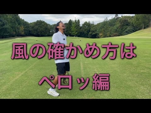 #3ミンゴのゆるりゴルフ🦩風の確かめ方はペロッ👅編。