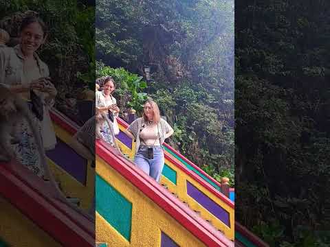 View from Batu cave.#travel #vlog #nature #batucaves