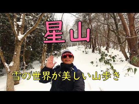 美しい雪の世界を山歩き【星山】