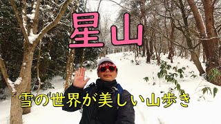 美しい雪の世界を山歩き【星山】