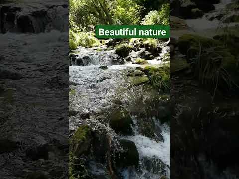 Beautiful water fall ßound#viral #shortsvideo #sourabh vlogs#trendingshorts #nature #water