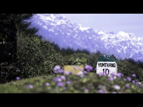 Yumthang Valley - Sikkim I Video - 25