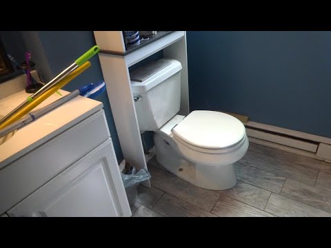 TOILET LEAKING WHEN FLUSHED