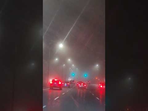 Foggy Evening in Oakville #ontario #canada #shortvideo