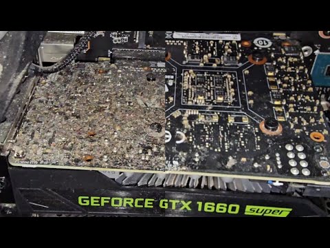 Customer's GPU was Covered in Dust and Bug Poops