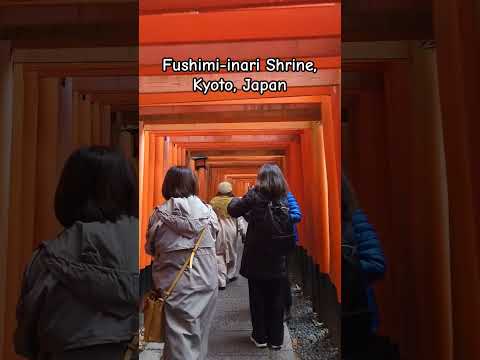 Kyoto - Fushimi Inari Shrine