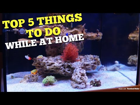 Top 5 Things To Do While at Home