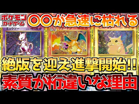 【ポケカ】ようやく日の目を浴びる？ポテンシャルがレベチなわけは〇〇!!【ポケモンカード最新情報】Pokemon Cards