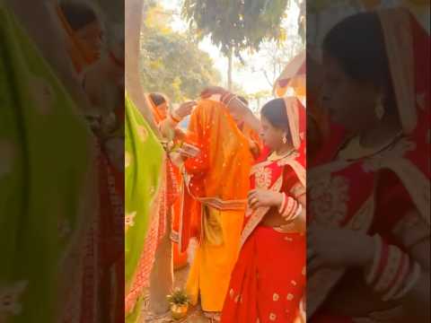 Amuwa Mahuwwa | Sharda Sinha | आम महुआ विवाह गीत #bhojpuri #vivahgeet #yt #shortsfeed #short #song