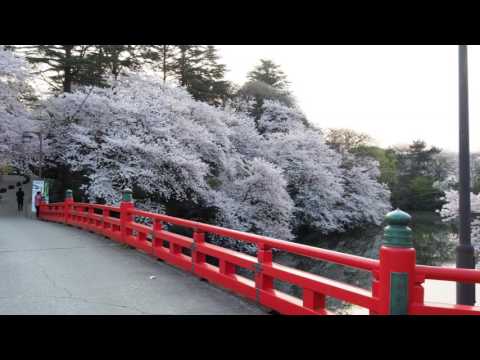 高岡古城公園　2017.4.14