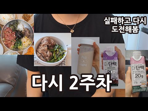 스위치온 다이어트 2주차 실패해서 다시 해본 후기 | 단백질 쉐이크 챌린지 | 인바디 결과 비교 공개 | 단식 배탈남