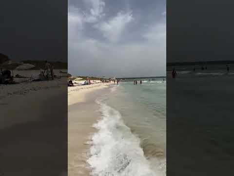 Es Trenc beach | Mallorca | Spain June2023 #beach #spain #travel