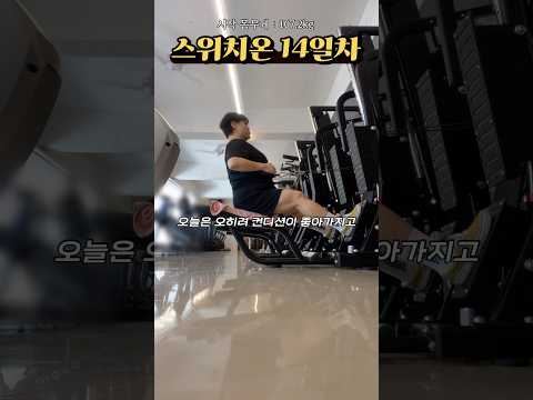 #스위치온 14일차 대자연 이슈이슈이슈 #스위치온다이어트#다이어트브이로그