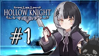 【Hollow Knight】Become Bug, Get Sliced and Diced By Me - Ep. 01