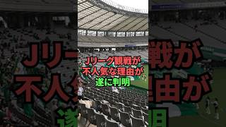 Jリーグ観戦が不人気な理由が遂に判明