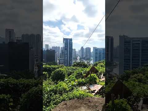 🔭元荃古道郊遊徑遠眺荃灣港安醫院 #hiking