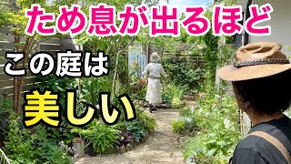 【出ました絶品】コンパクトなお庭で美しすぎるは作れます　　【カーメン君】【個人庭】【りょうこさん】【初心者】