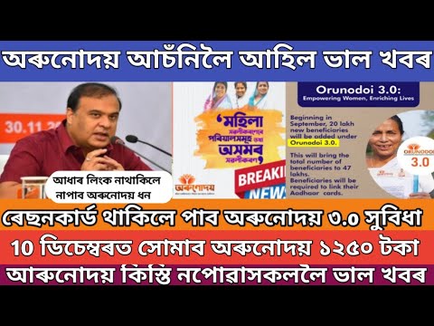 Orunodoi asoni new apply 2024 // Orunodoi 3.o New update // orunodoi scheme assam