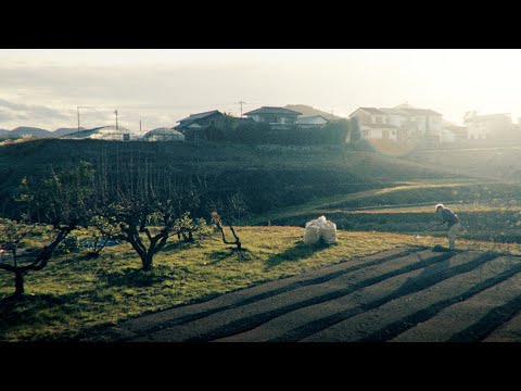 谷を目指す　ことでん陶周辺 | 香川県 綾川町 | Cinematic Video | SONY FX3