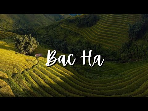 Exploring Bac Ha: Northern Vietnam’s Cultural and Scenic Treasure