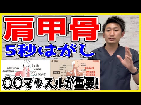 【肩甲骨はがし】簡単5秒！自分ではがして肩甲骨がスッキリ【#ハリボディTV】