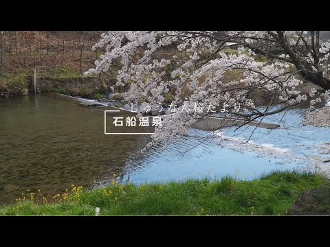 2023しゅうなん桜だより 石船温泉