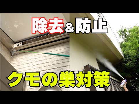 【徹底クモの巣対策】クモの巣除去 クモの巣防止 くもの巣を晴らせない方法 くもの巣キャッチャー クモの巣消滅ジェット 蜘蛛駆除対策 害虫駆除 クモ用殺虫剤のご紹介！