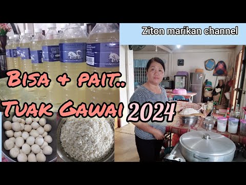 Cara ngaga ai tuak pulut.. bisa & pait..‼️