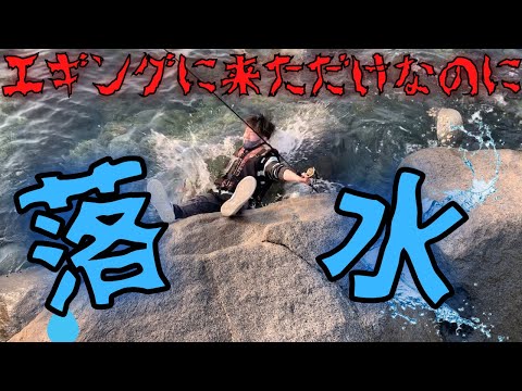 海は危険？！パチ君に悲劇が．．．