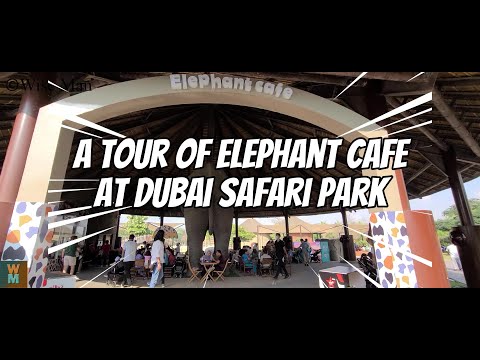 A Tour of Elephant Cafe at Dubai Desert Safari #dubai #safari #foodstall #food