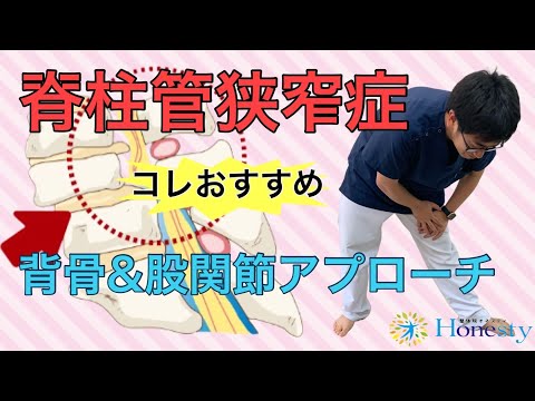 脊柱管狭窄症【コレおすすめ】背骨＆股関節にアプローチするストレッチ！〜本気だから個別対応【整体院オネスティ】神奈川県大和市