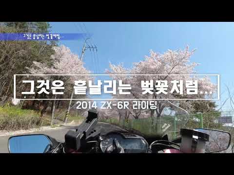 [ZX-6R] 그것은 흩날리는 벚꽃처럼...