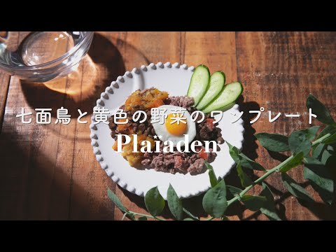 七面鳥と黄色の野菜のワンプレート｜無添加ドッグフードアレンジレシピ｜プレイアーデン