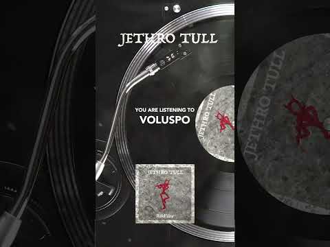 Jethro Tull – Voluspo #shorts #rokflote #jethrotull