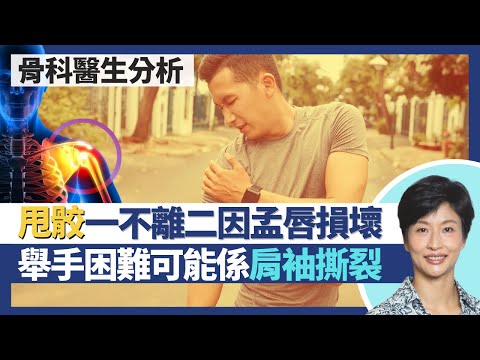 肩膊創傷（肩袖撕裂／甩骹）｜肩關節脫位甩骹一不離二 全因孟唇組織損壞！第一次脫臼越年輕越易再脫臼？肩袖撕裂好常見 膊頭痛舉手困難可能是徵兆｜王建芳醫生 骨科醫生文浩然醫生｜人類健康研究所